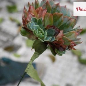 Meet your Posher, Margaret